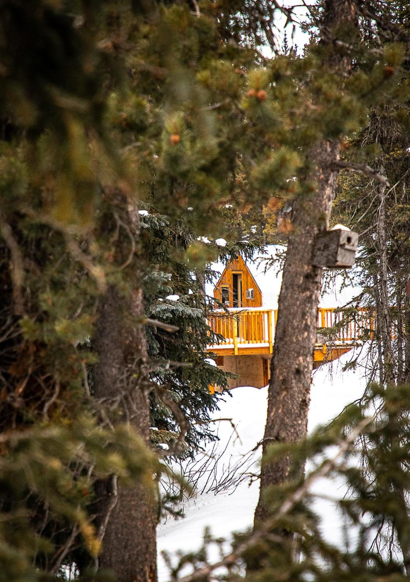 Mount Engadine Lodge Kananaskis Esterno foto